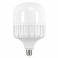 Żarówka LED CLS T140 46W E27 NW ZL5751